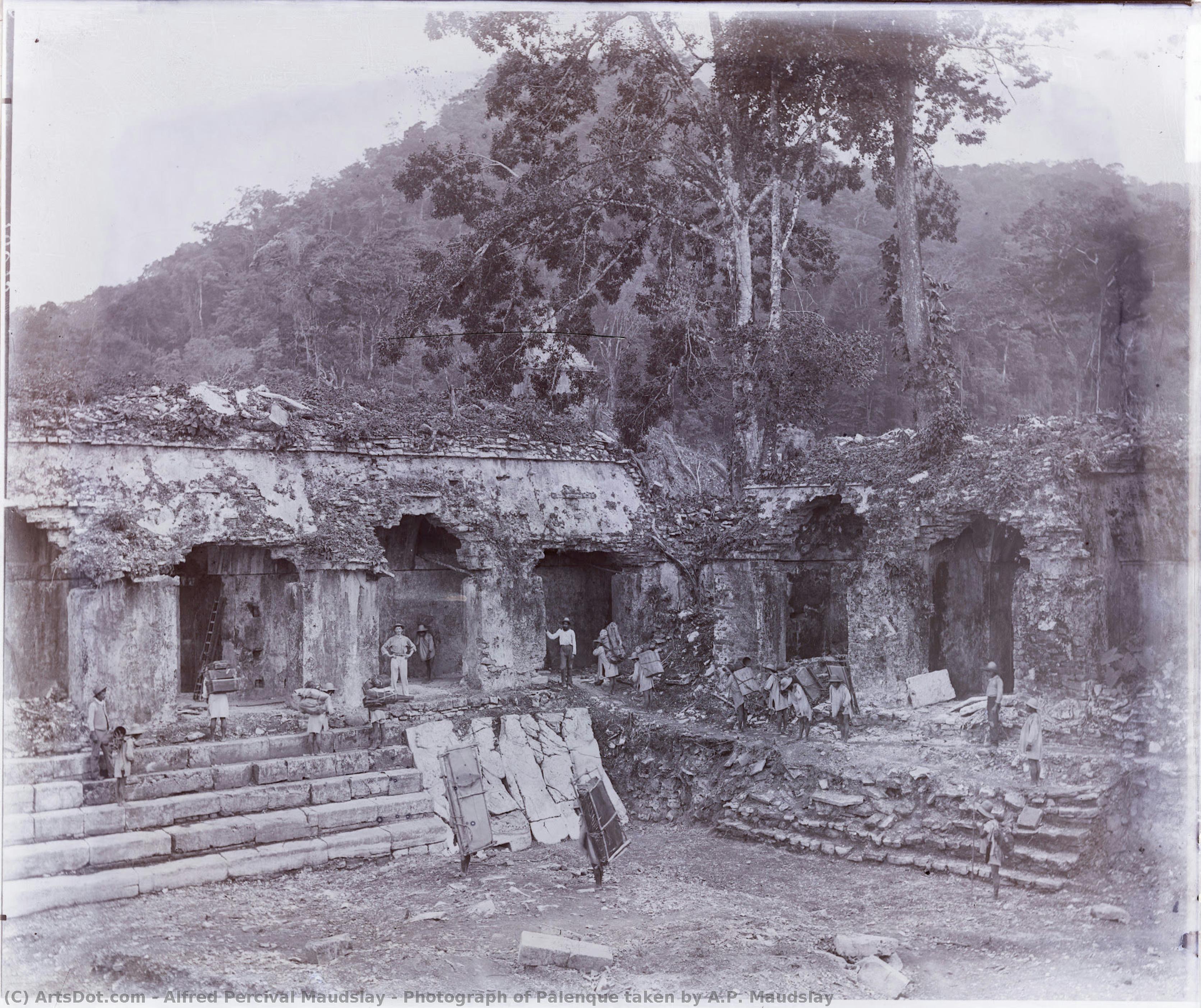 Photograph Of Palenque Taken By A.p. Maudslay — Alfred Percival Maudslay