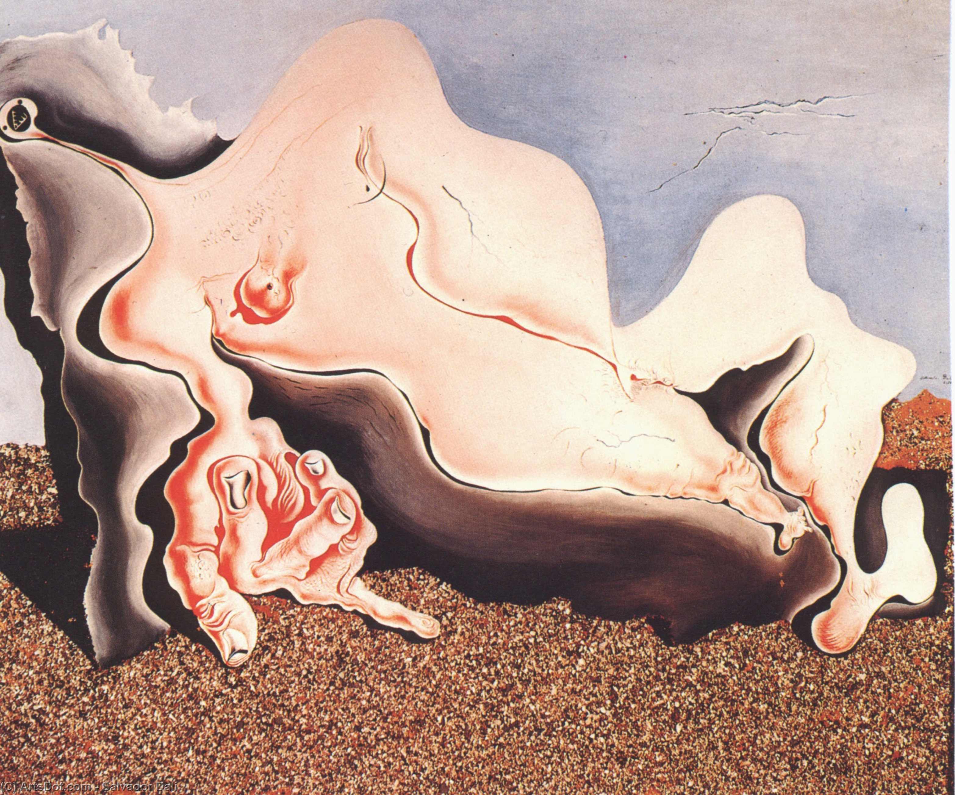 Bañista Femenina — Salvador Dalí