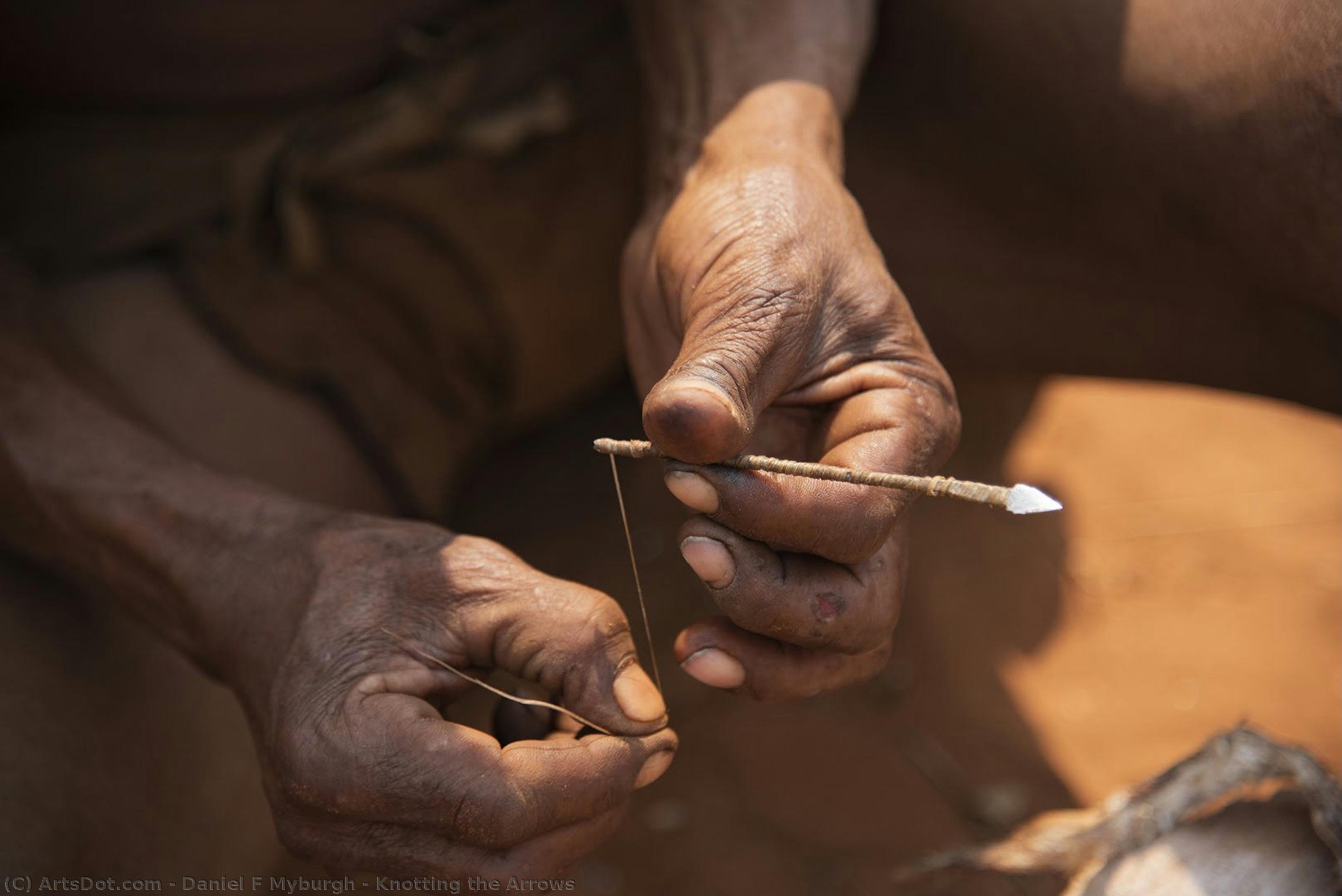 Knotting The Arrows — Daniel F Myburgh