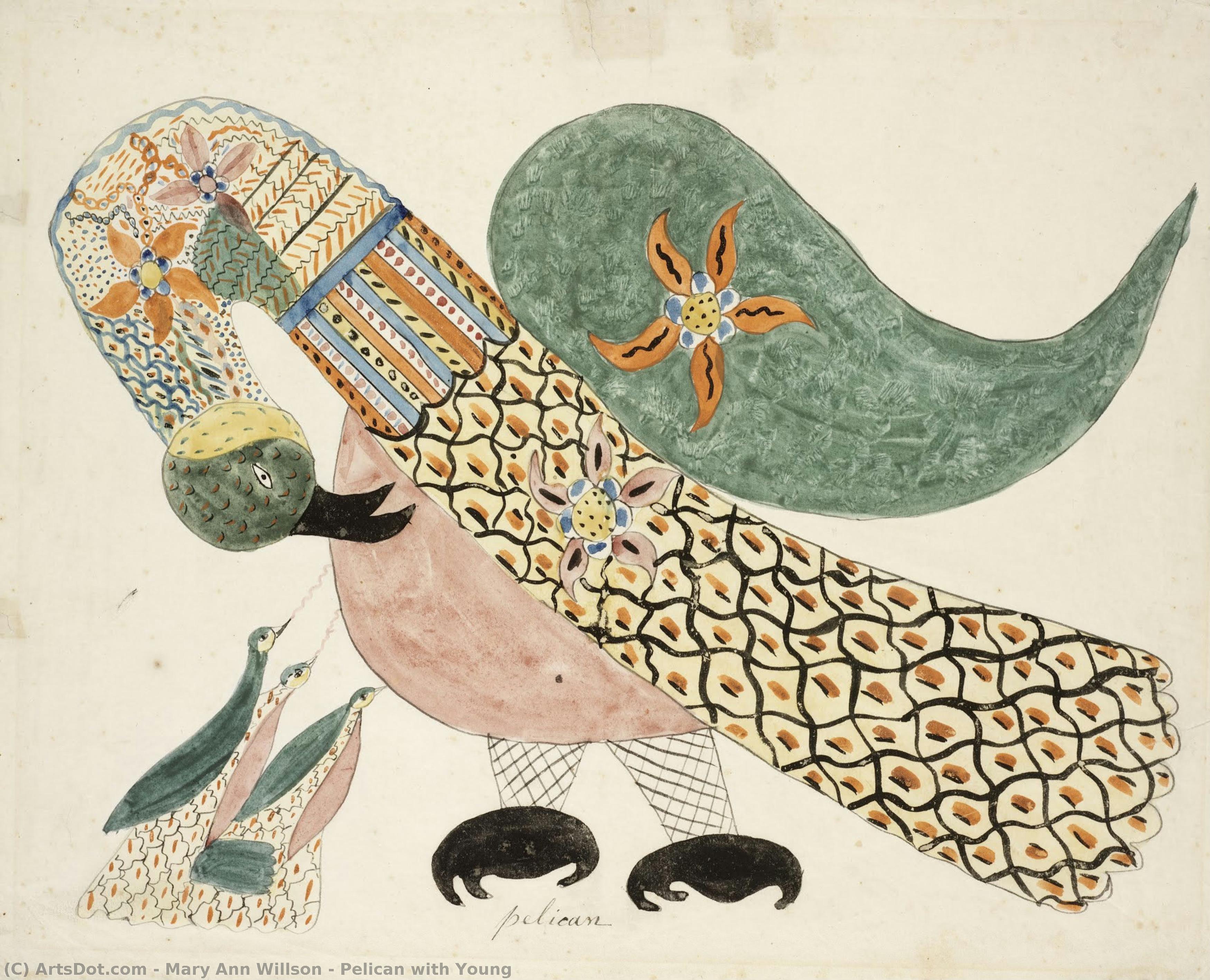 Pelican With Young — Mary Ann Willson