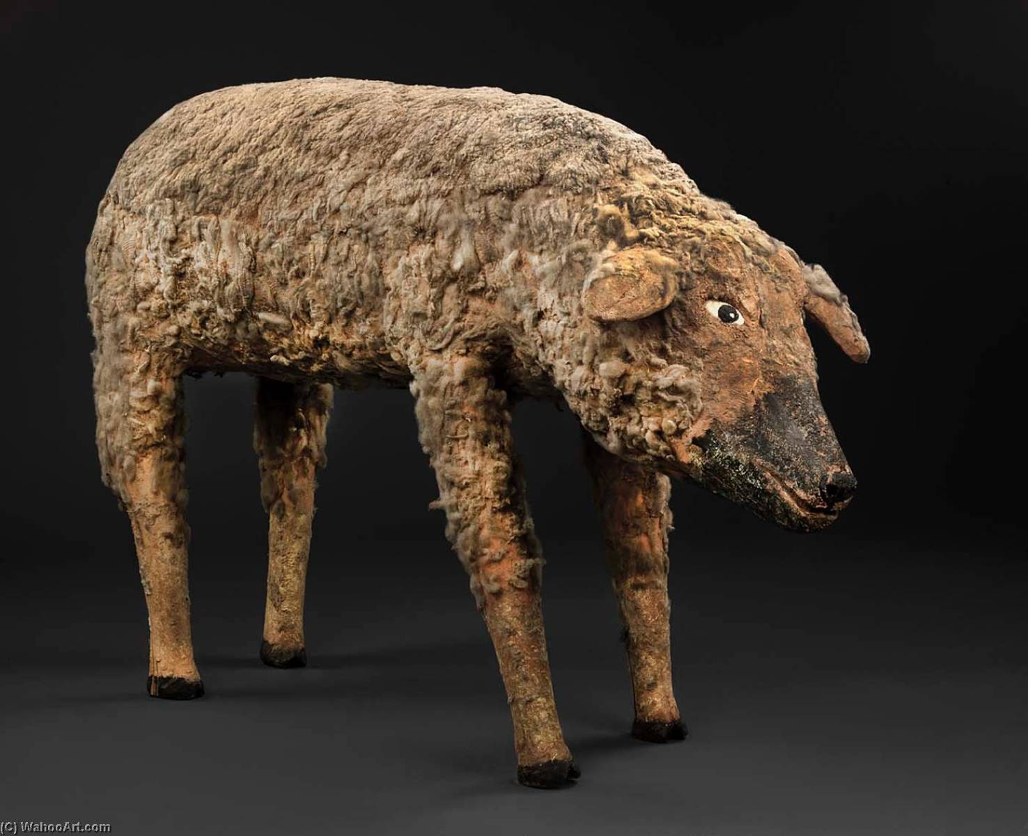 Sheep — Felipe Archuleta
