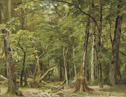 Study Of A Summer In Belovezh Forest — Ivan Ivanovich Shishkin