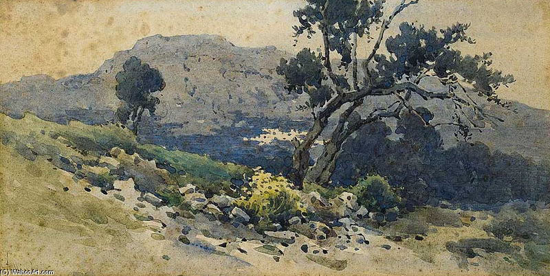 Old Olive Tree — Angelos Giallina