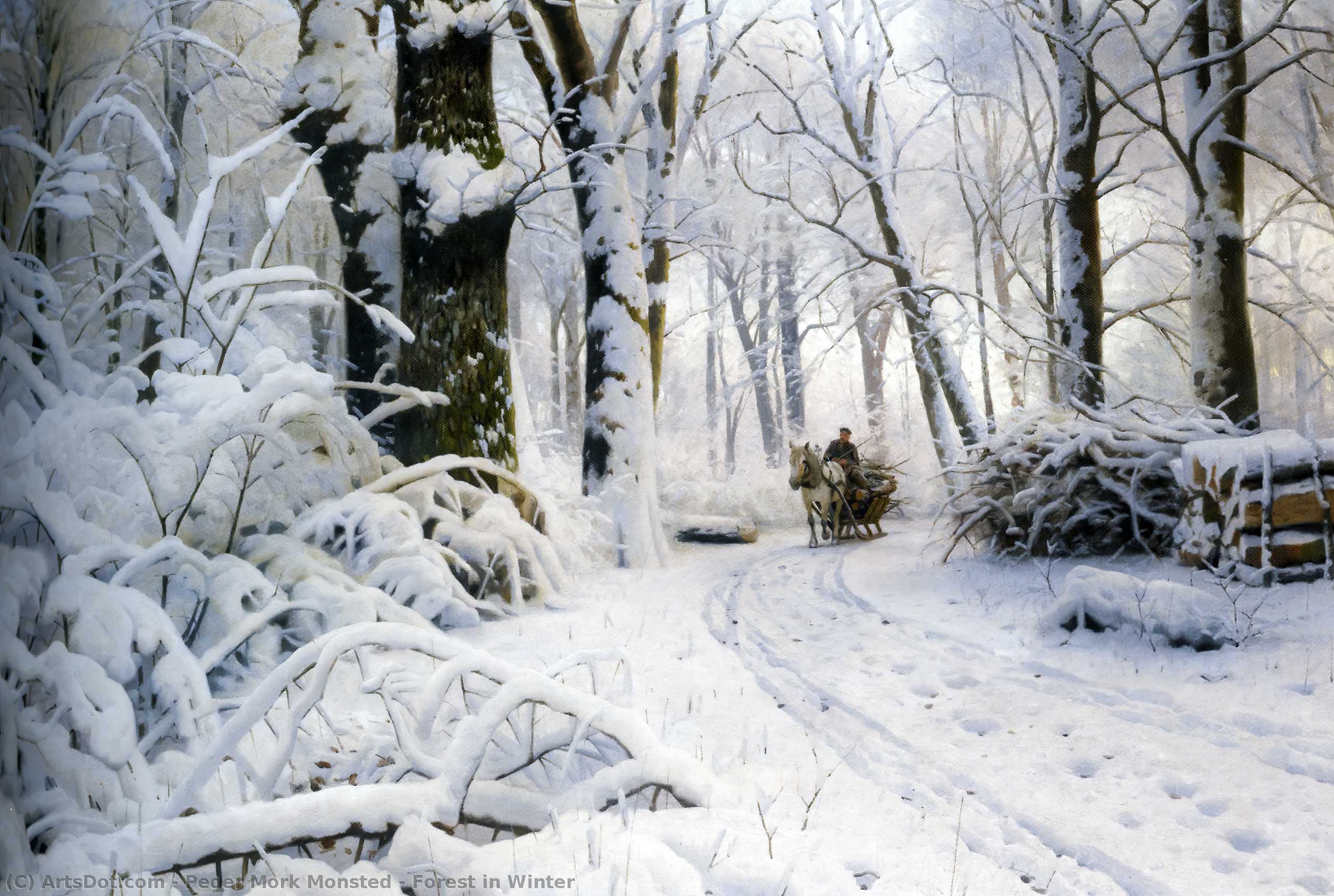 Forest In Winter — ペーダー・モルク・モンステッド