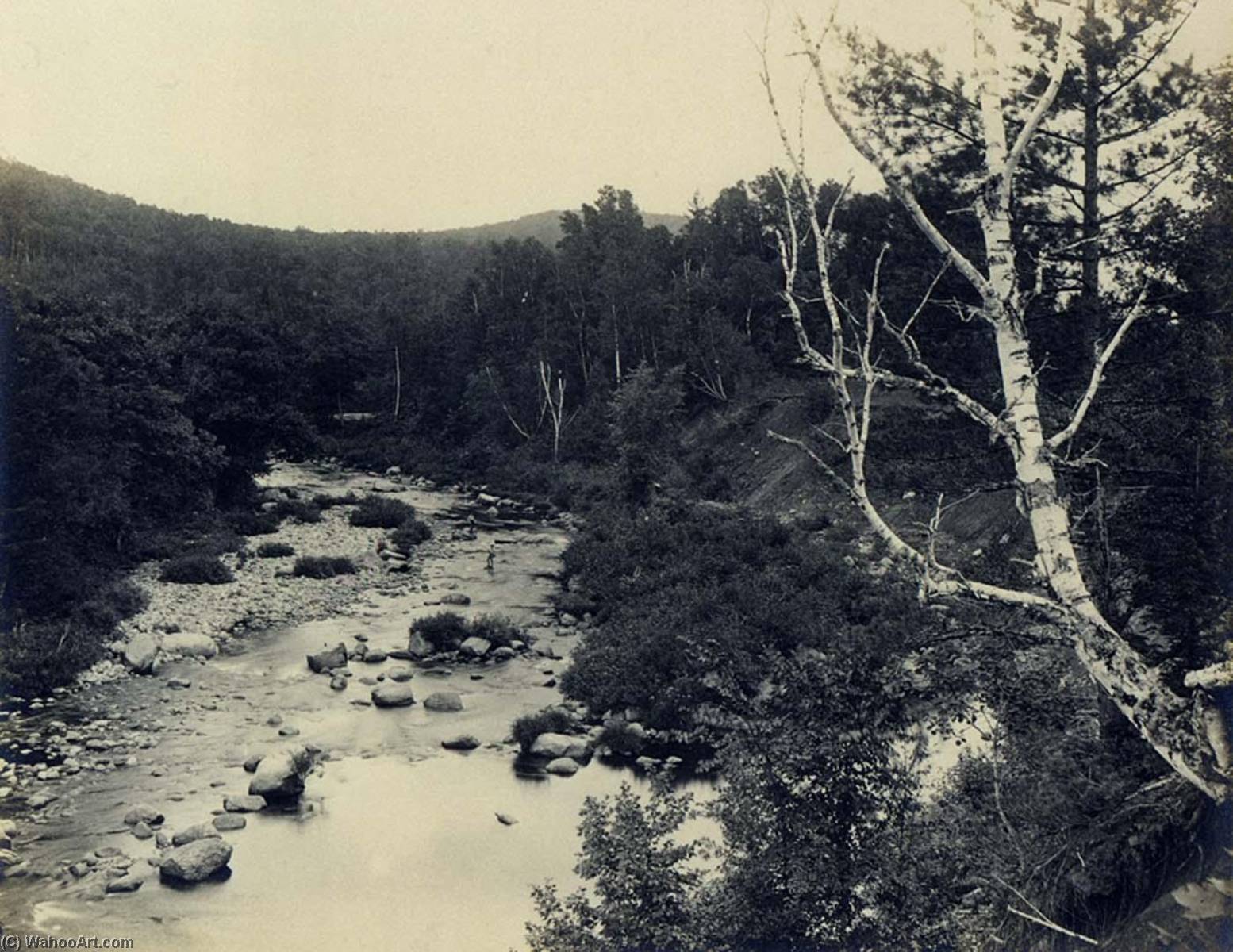 Ellis River, White Mountains — Charles L Mitchell