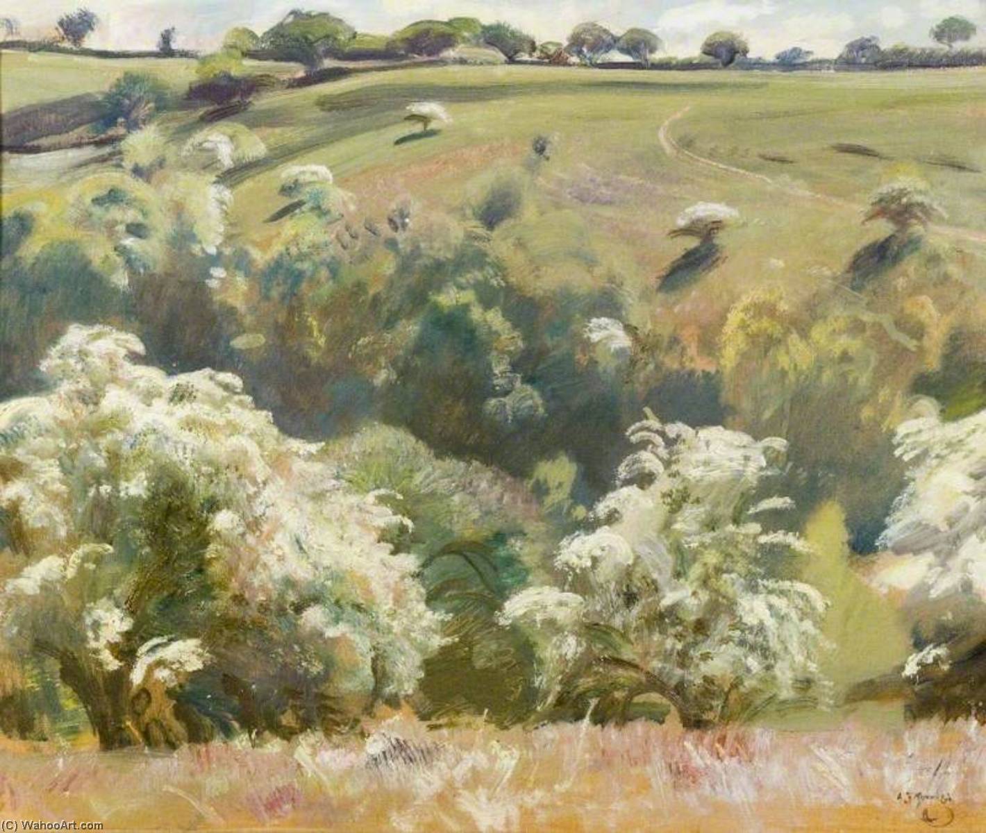 May On Exmoor — Маннингс
