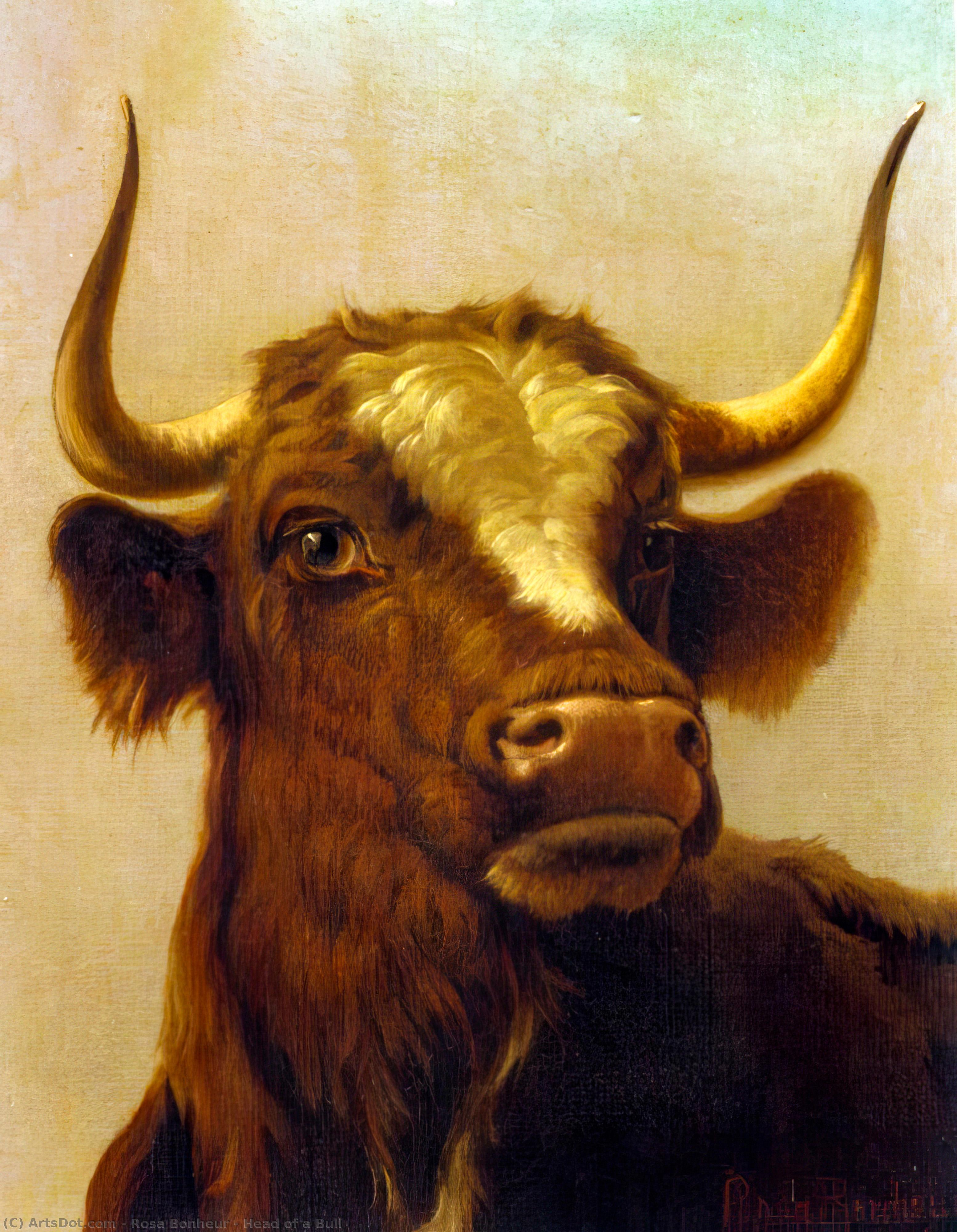 Head Of A Bull — Rosa Bonheur