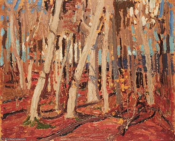 Maple Woods, Bare Trunks — Tomas Tompson