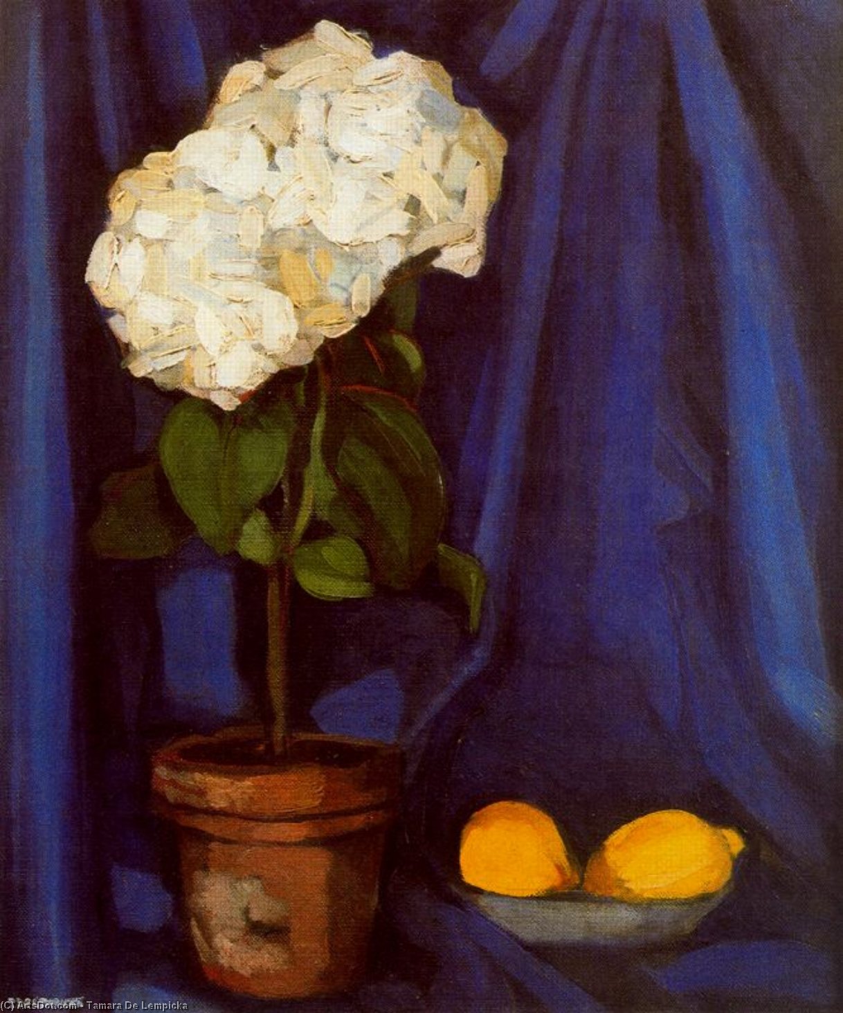 Nature Morte Au Citrons — Тамара Де Лемпицка