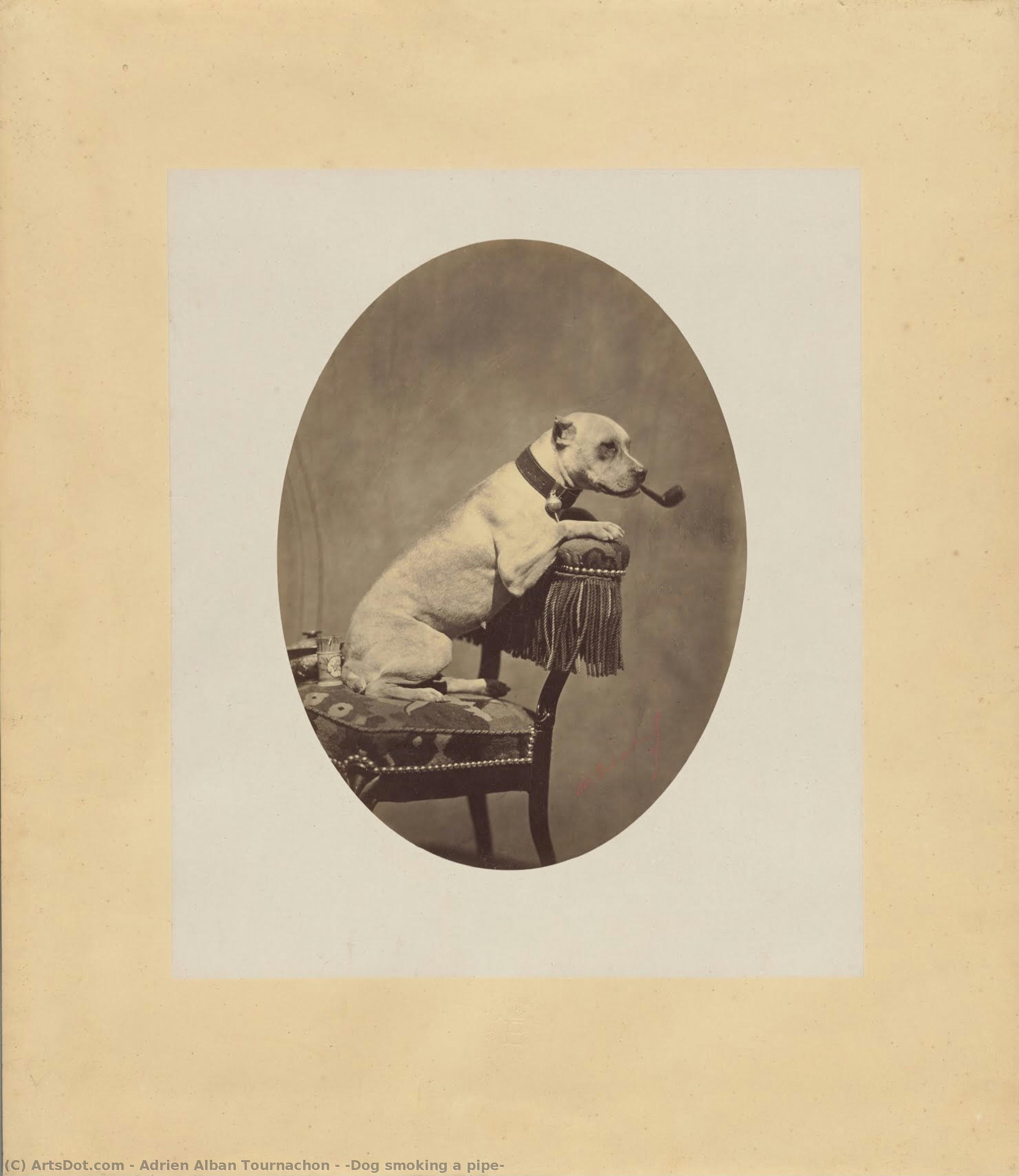 [dog Smoking A Pipe] — Adrien Alban Tournachon