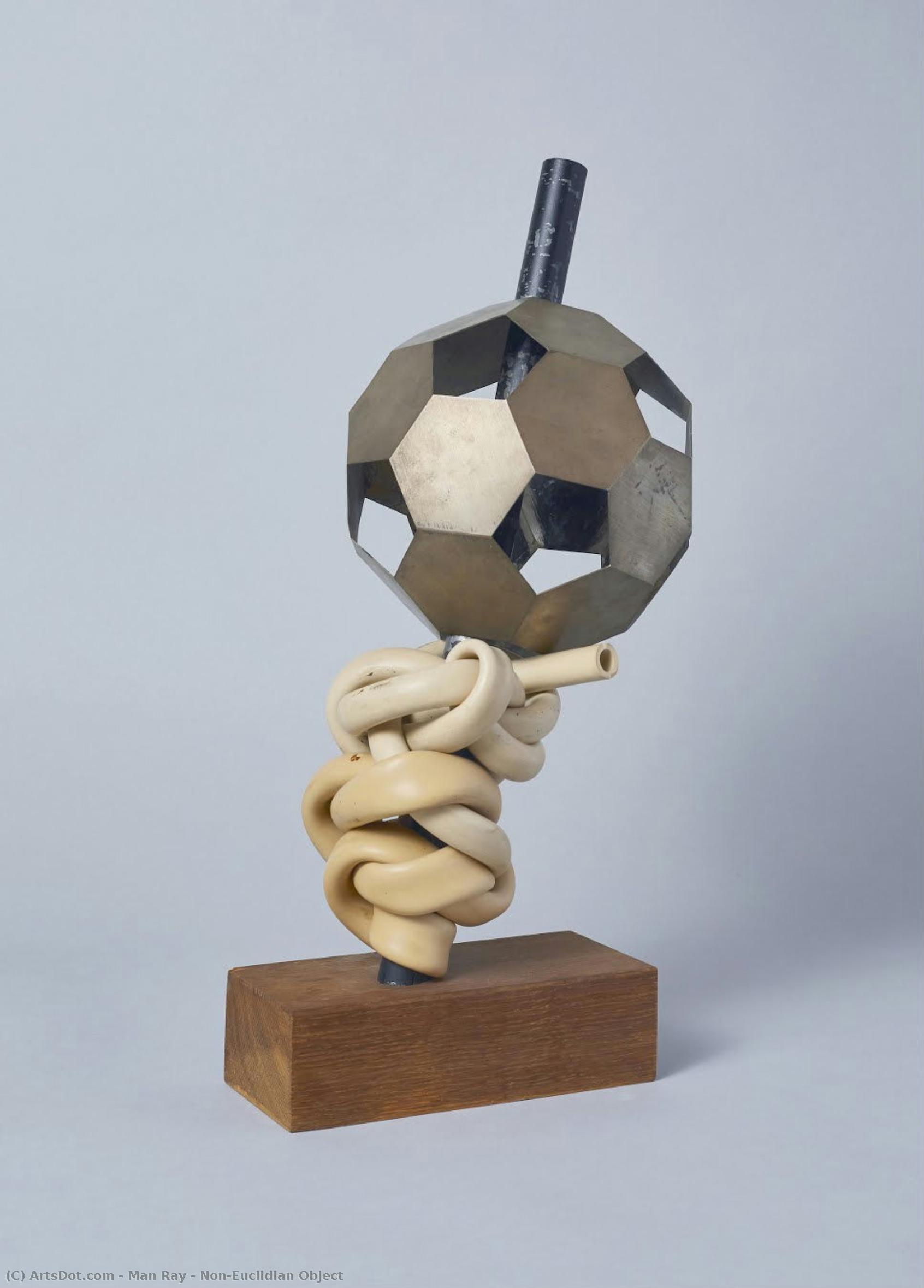 Non-euclidian Object — マン・レイ