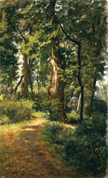 In The Woods — Adolfo Tommasi