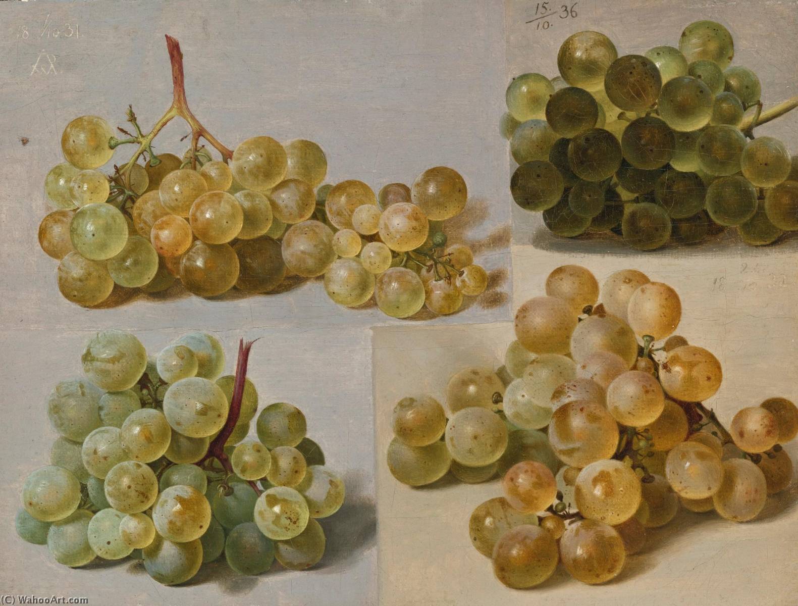 Still Life Of Grapes — Johann Wilhelm Preyer