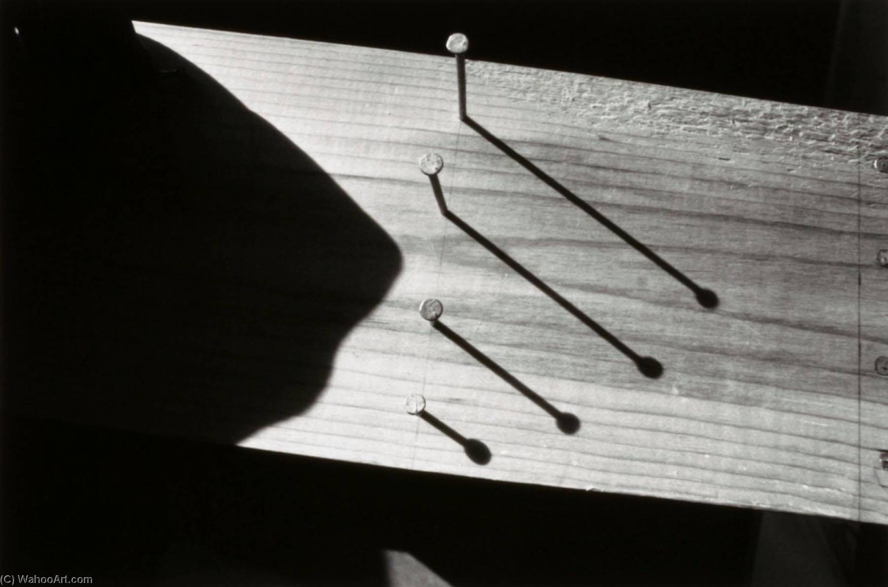 Building The Wisconsin House (nails) — Joseph D Jachna