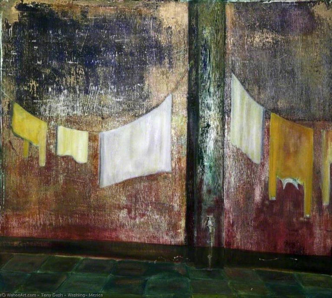 Washing, Mexico — Tony Dash