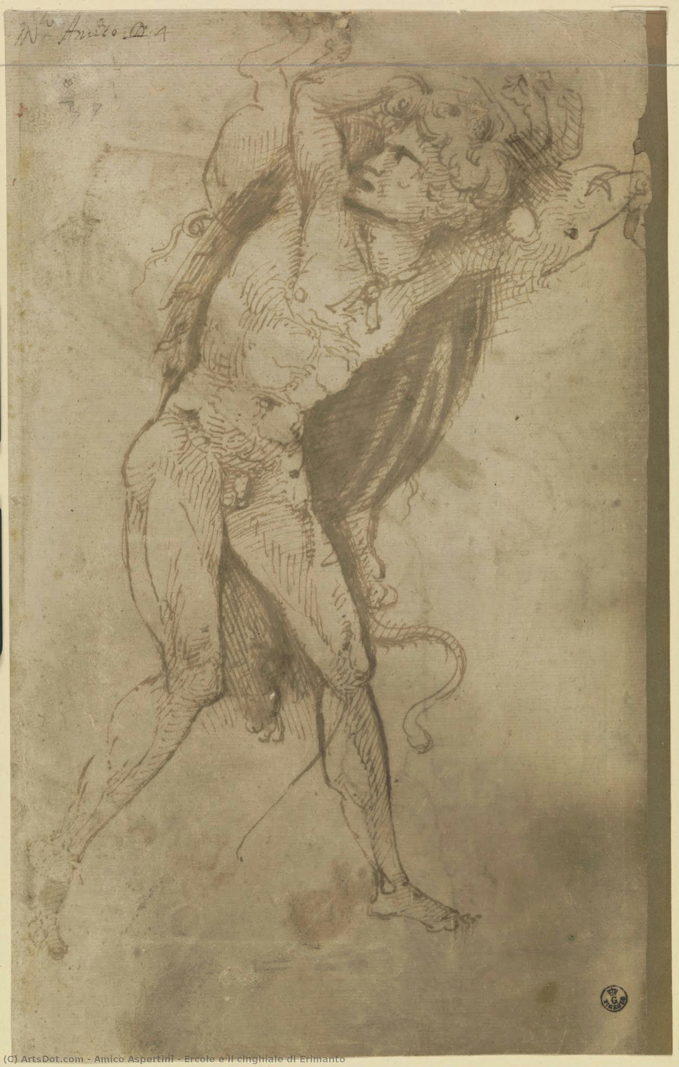Ercole E Il Cinghiale Di Erimanto — Amico Aspertini