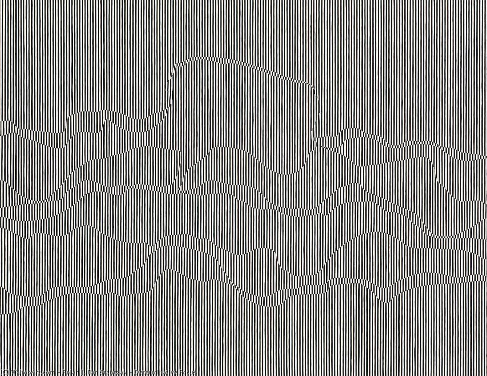 Determinative Focus — Polan Julian Stanczak