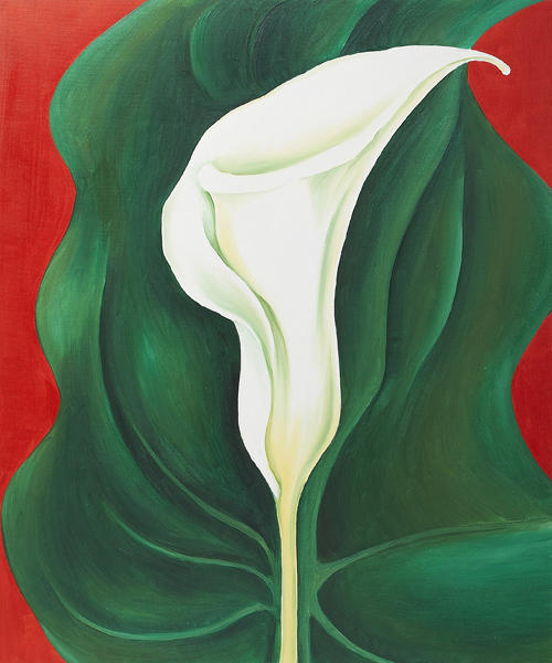 Single Calla Lily (red) — ジョージア・オキーフ