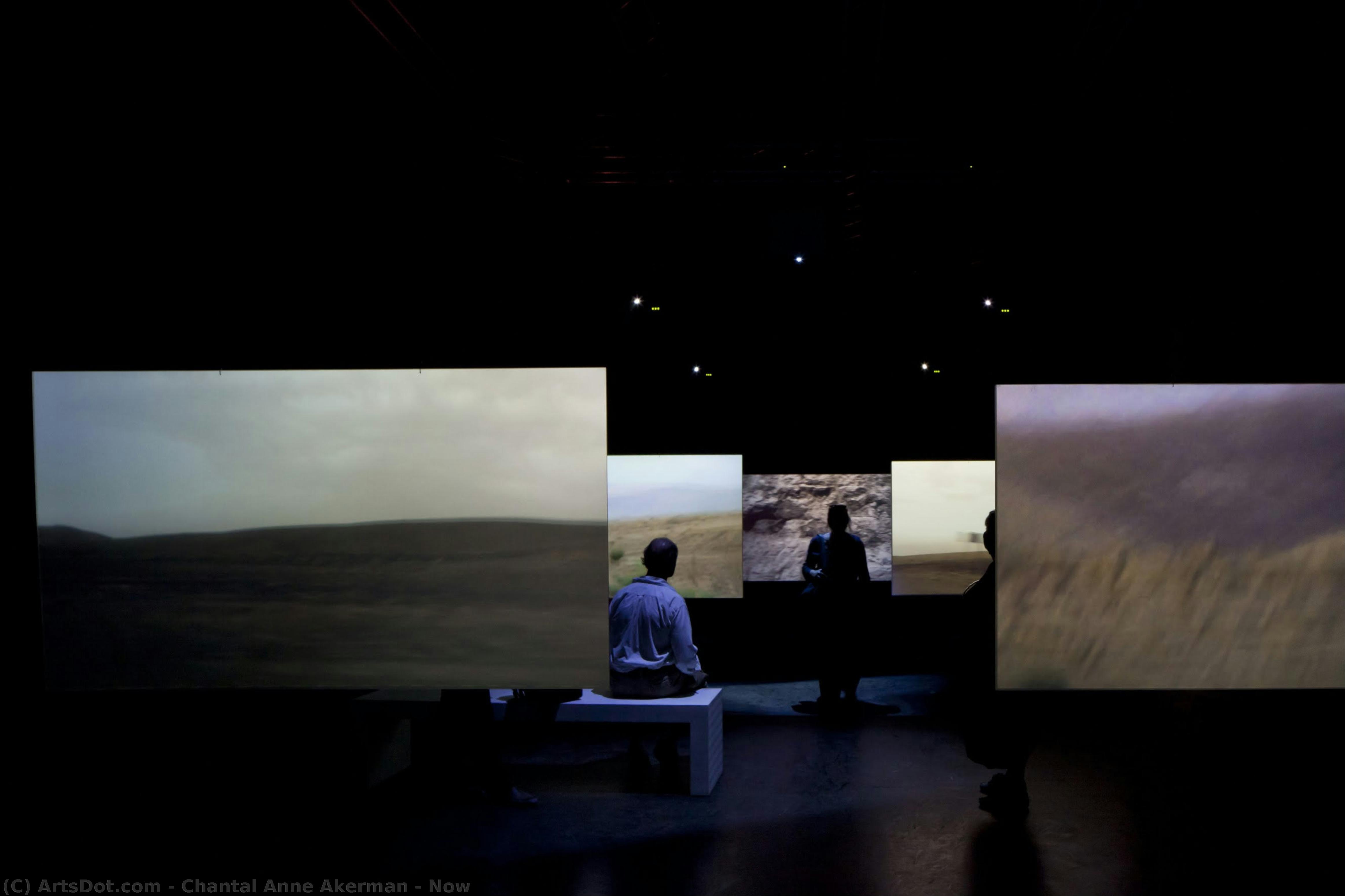 Now — Chantal Anne Akerman