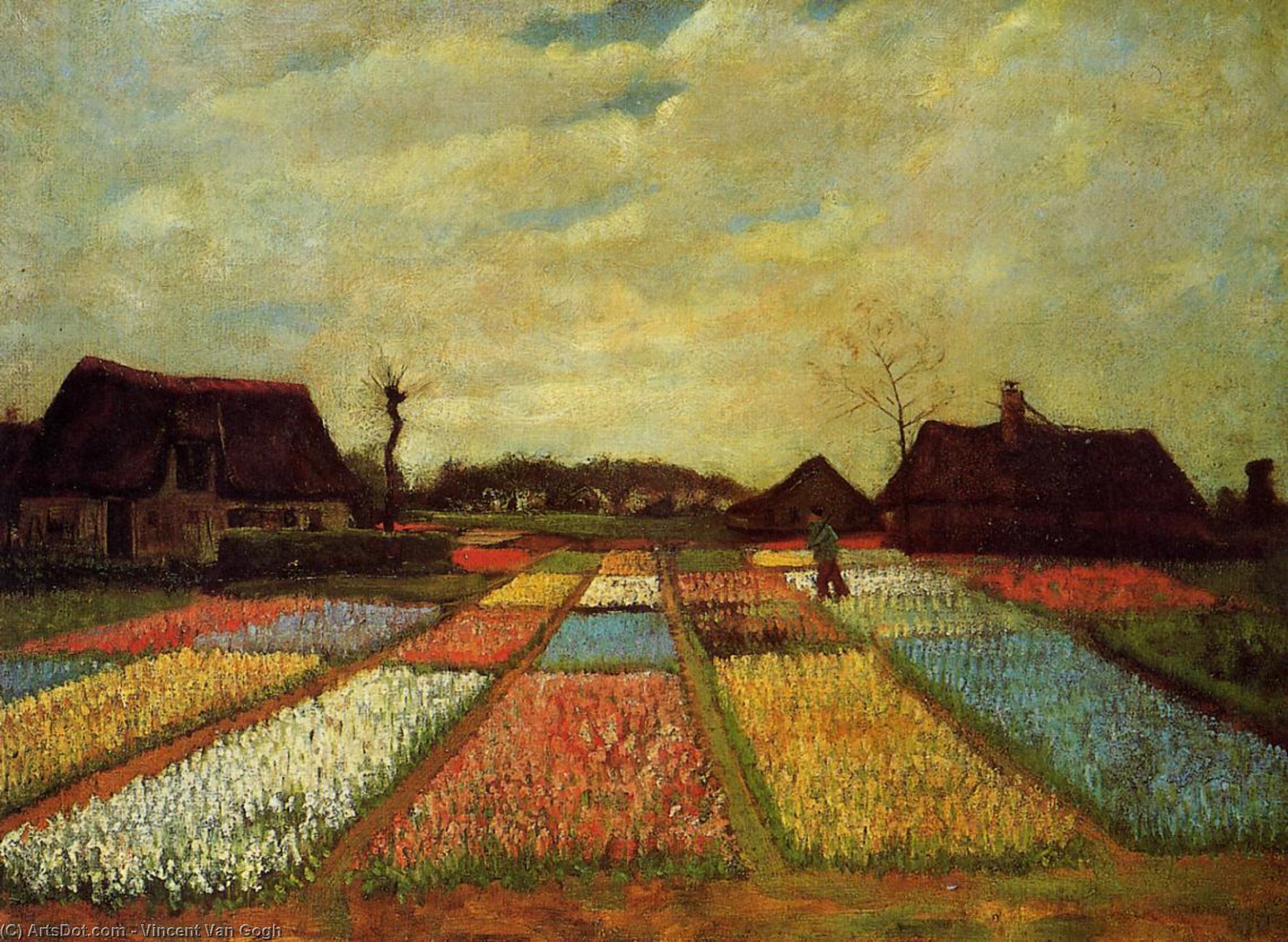 Bulb Fields — Vincent Willem Van Gogh