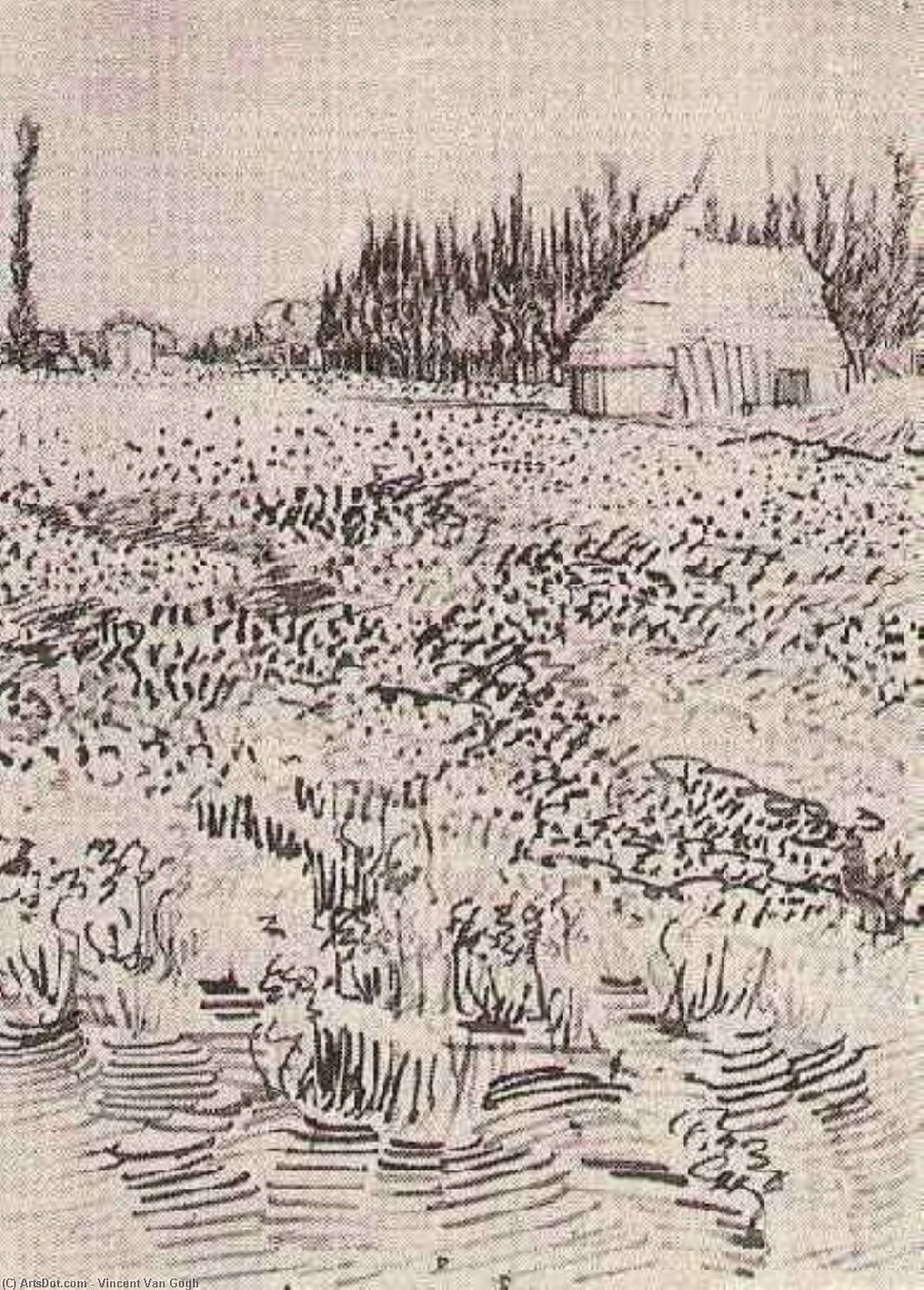 Landschaft Mit Hütte In Der Camargue — Vincent Willem Van Gogh