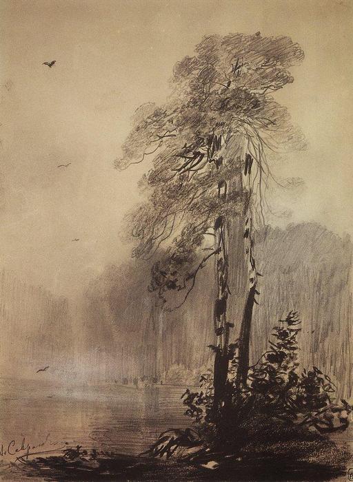 Pines On The Shores Of Lake — Aleksey Savrasov