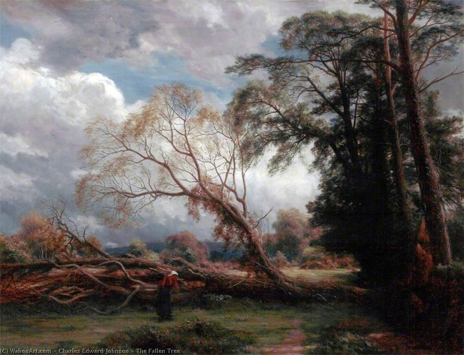 The Fallen Tree — Charles Edward Johnson