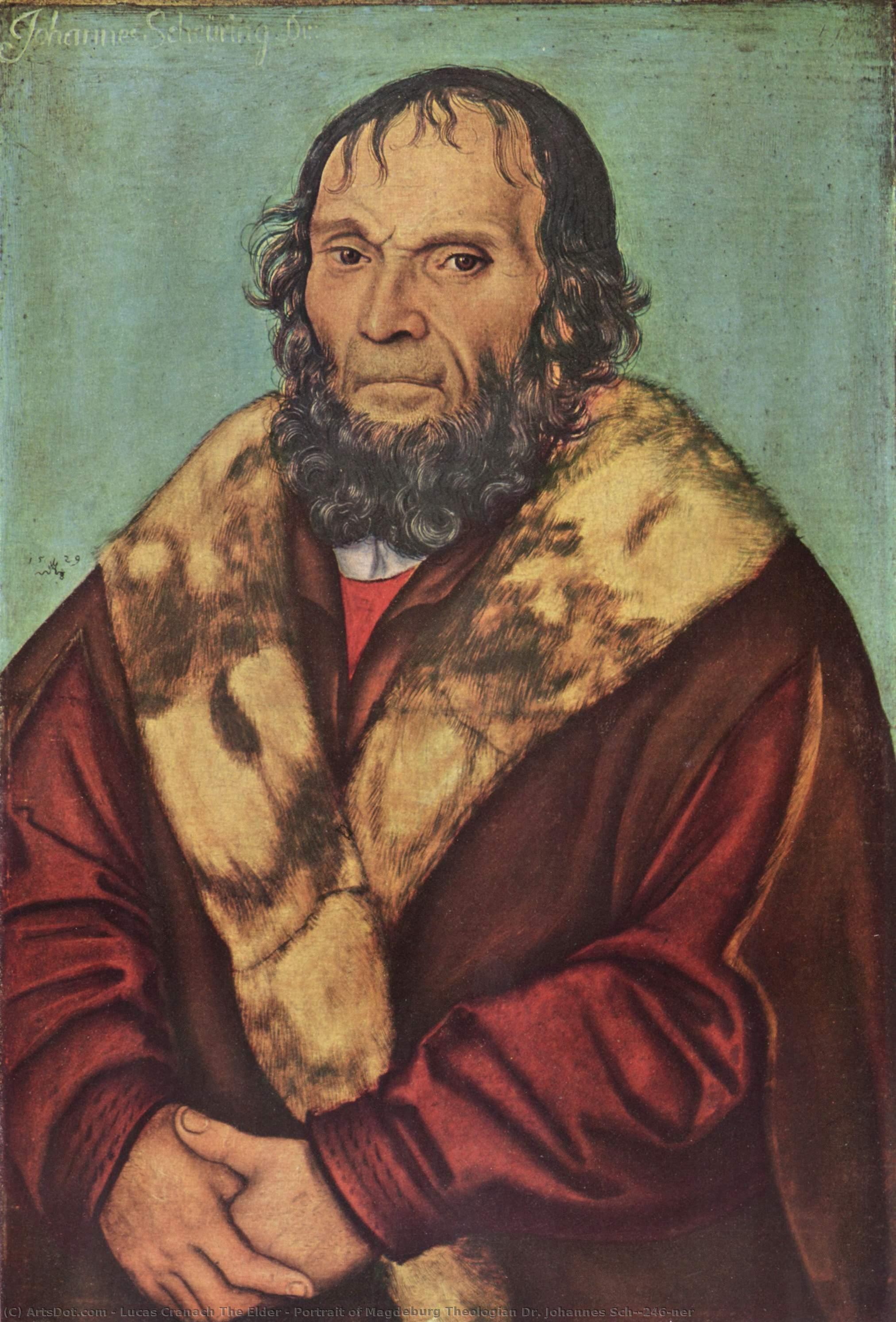 Portrait Of Magdeburg Theologian Dr. Johannes Schöner — Lucas Cranach The Elder