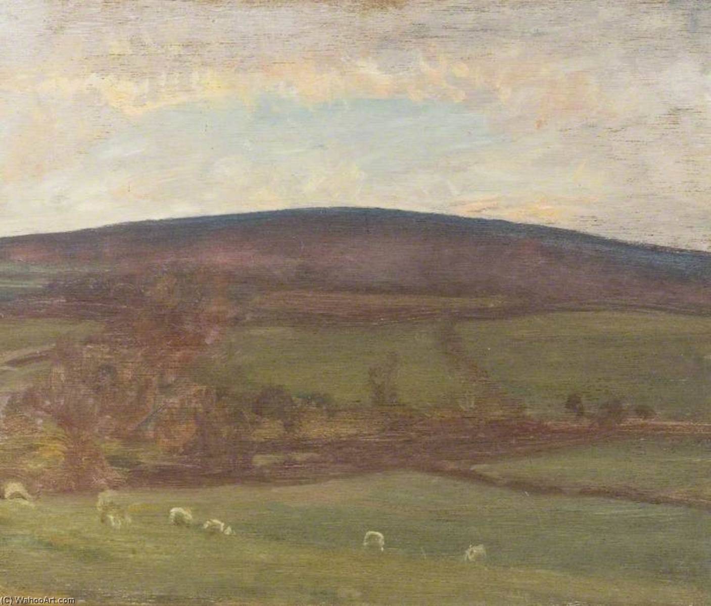 Withypool Hill, Exmoor, Schafe Im Vordergrund — Sir Alfred James Munnings