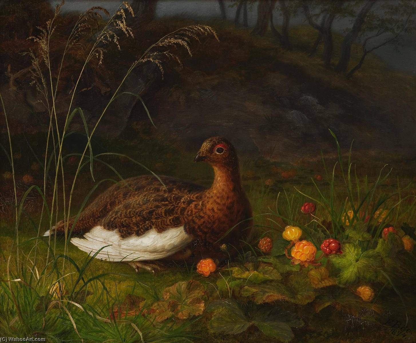 Untitled (aqrr4p) — Frants Bøe