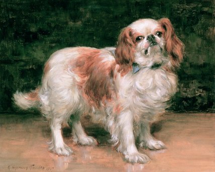King Charles Spaniel — Georges Antoine Rochegrosse