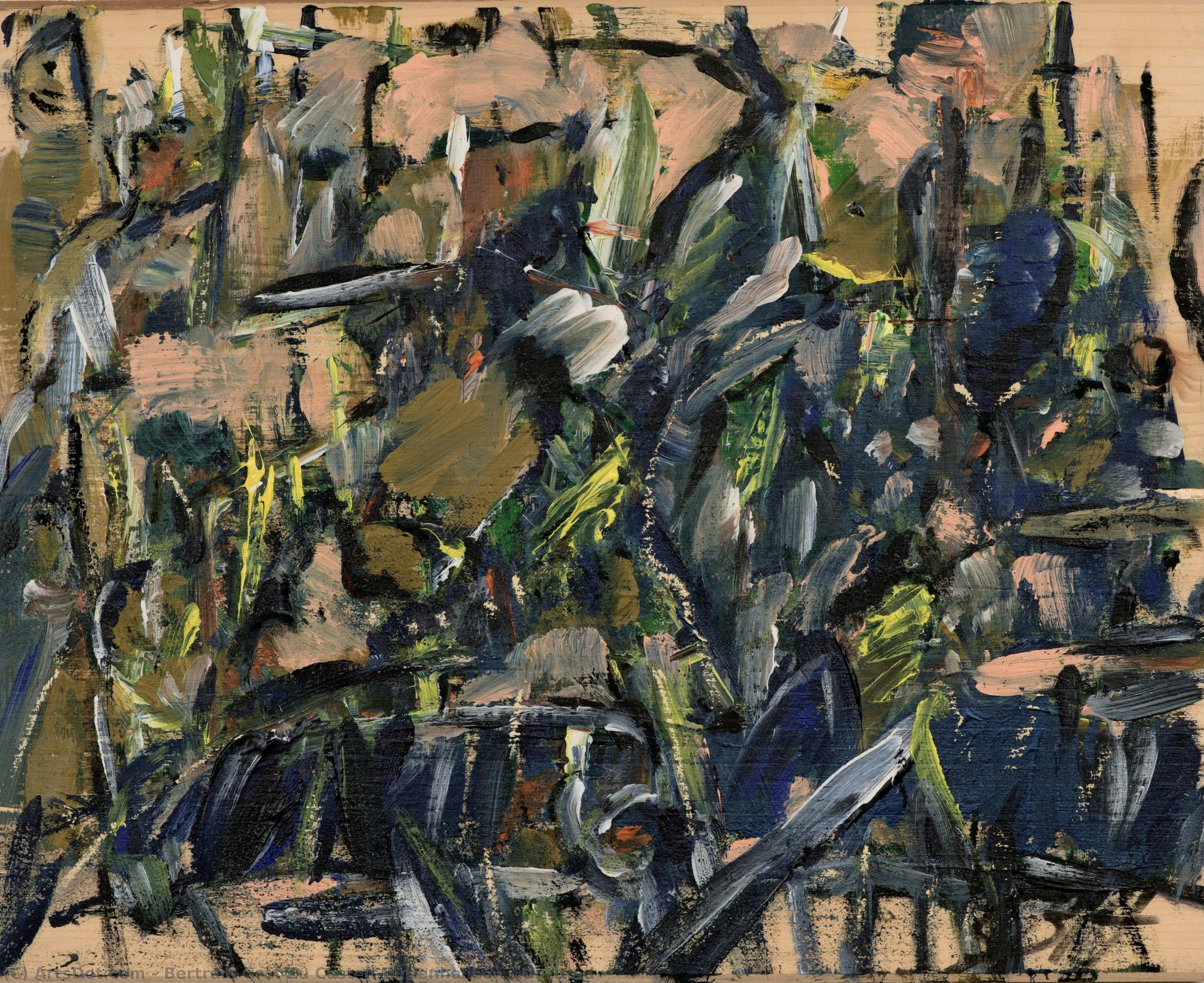 Untitled — Bertram Graf Zu Castell-rüdenhausen