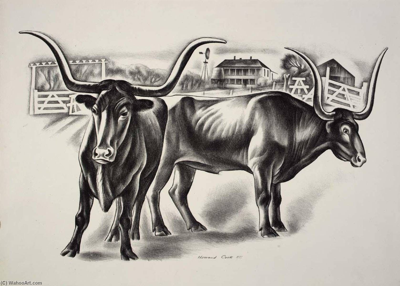 Long Horn Steers — Howard Cook