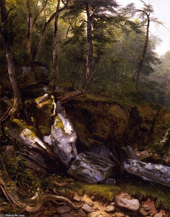 Study From Nature: Rocks And Trees In The Catskills, New York — Asher Brown Durand