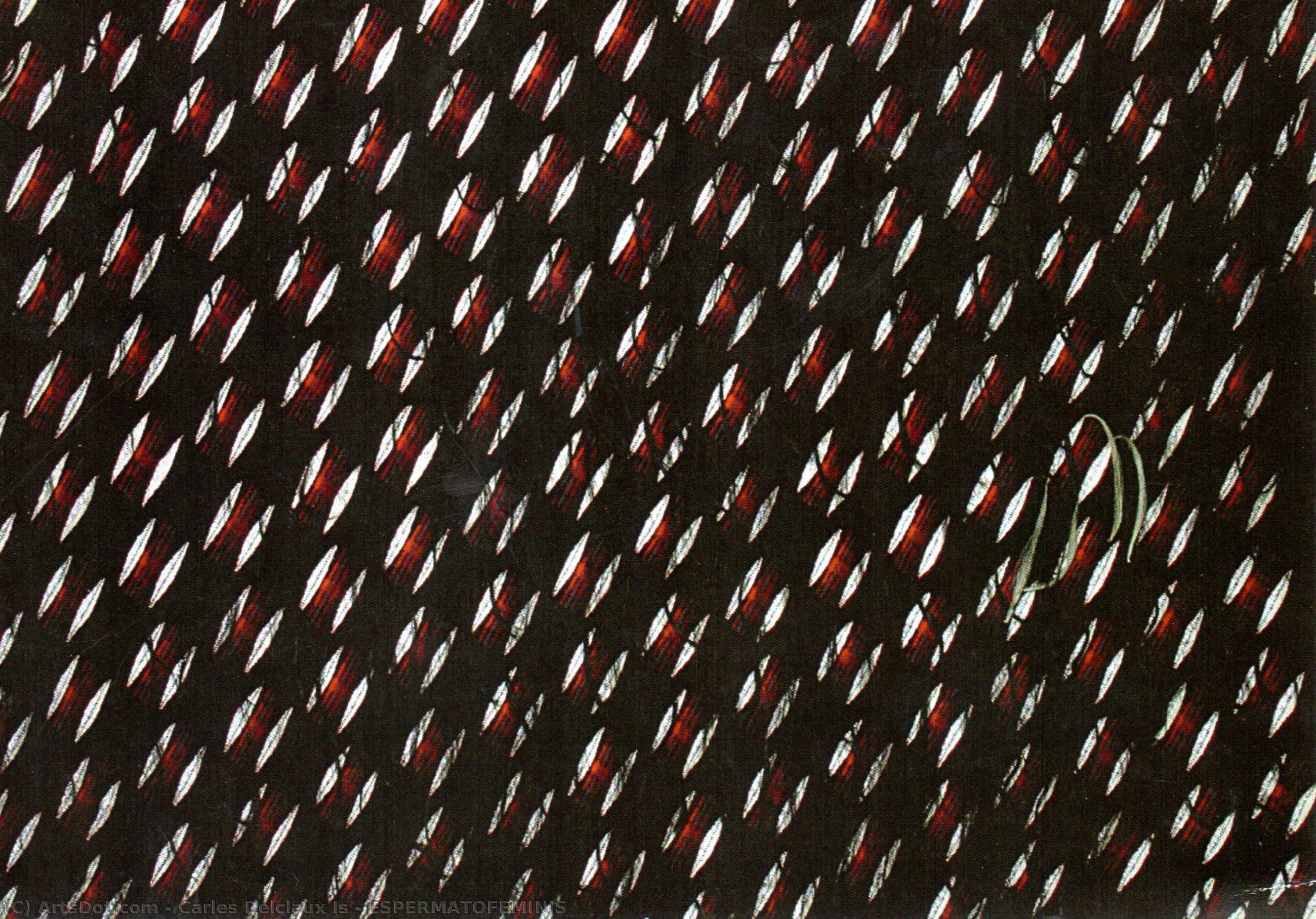 Espermatofeminis — Carles Delclaux Is