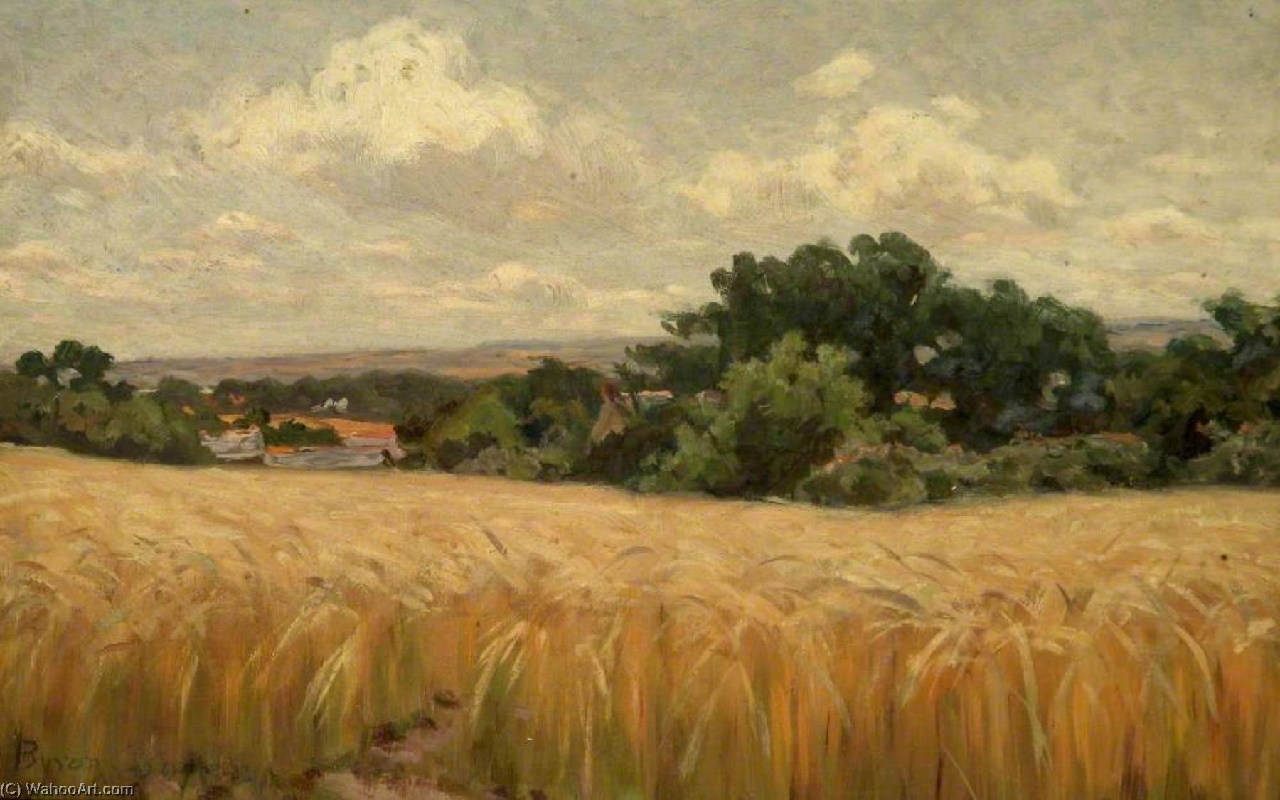 Barley Field — Byron Cooper