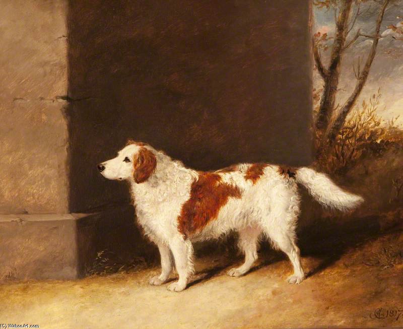 The Favourite Dog Of Lord Charles Vere Ferrers Townshend — Abraham Cooper