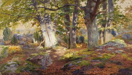 Autumn Sunlight After Rain — Andrew Maccallum