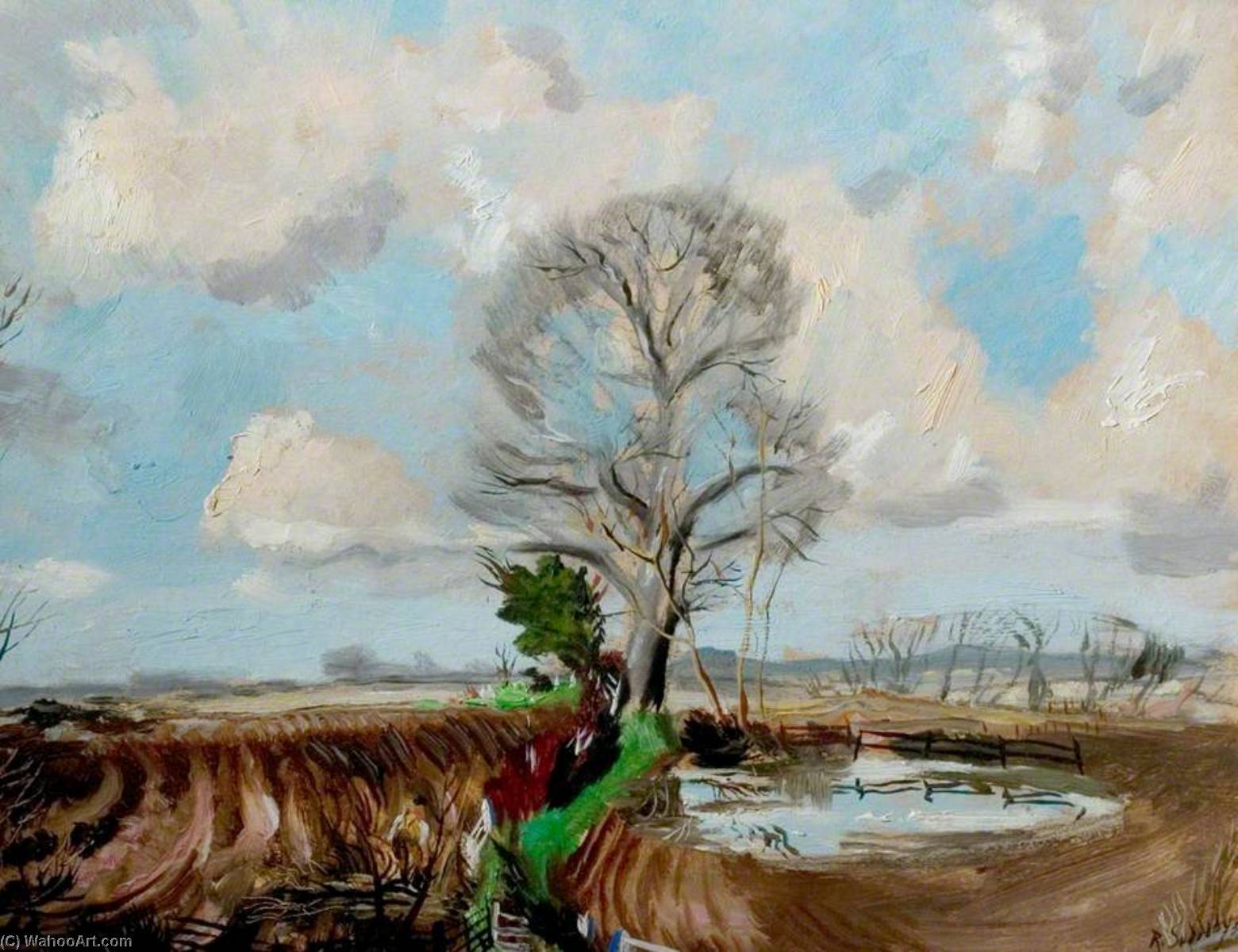 Hedging At Cornard Tye, Suffolk — Rowland Suddaby