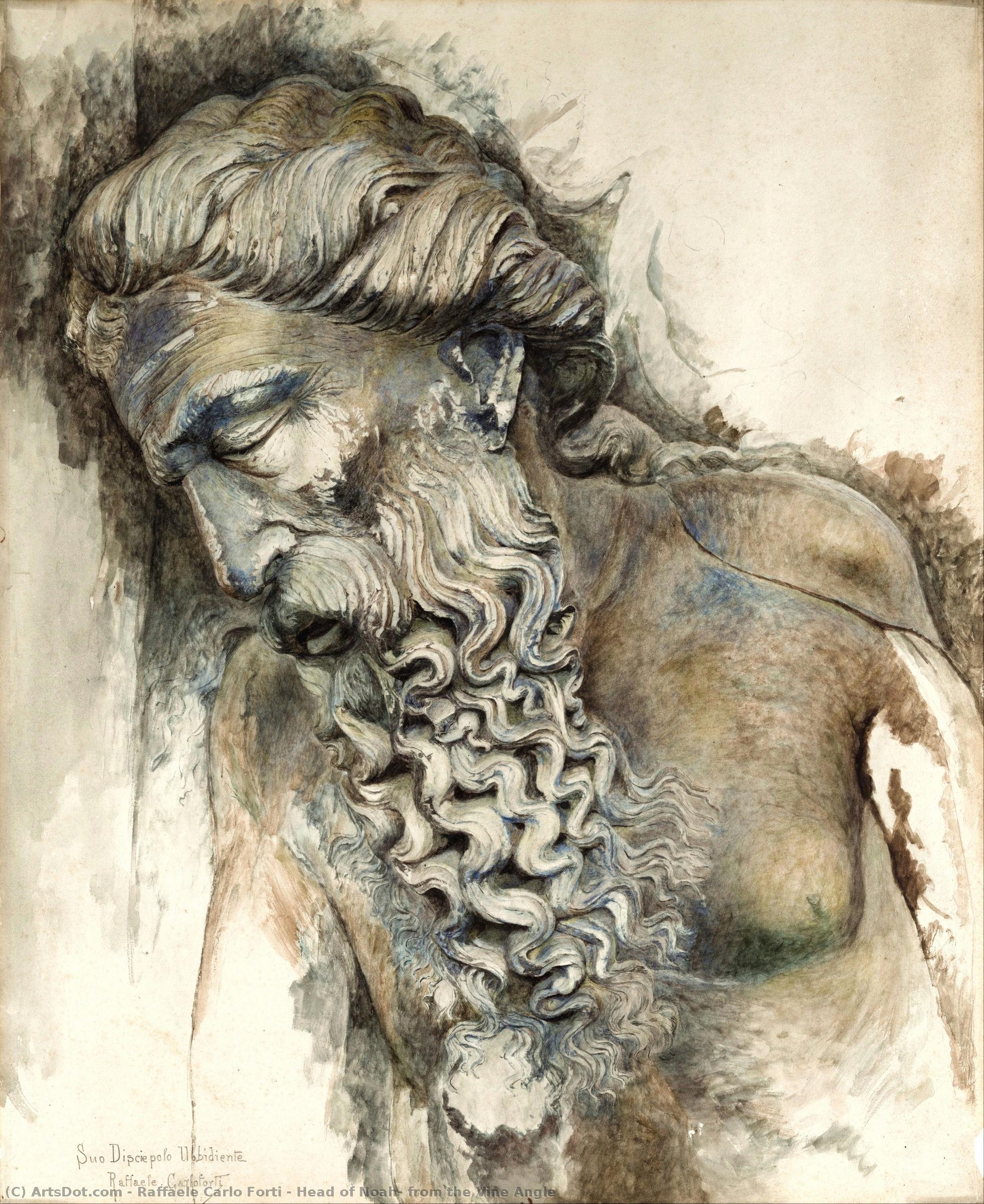 Head Of Noah, From The Vine Angle — Raffaele Carlo Forti