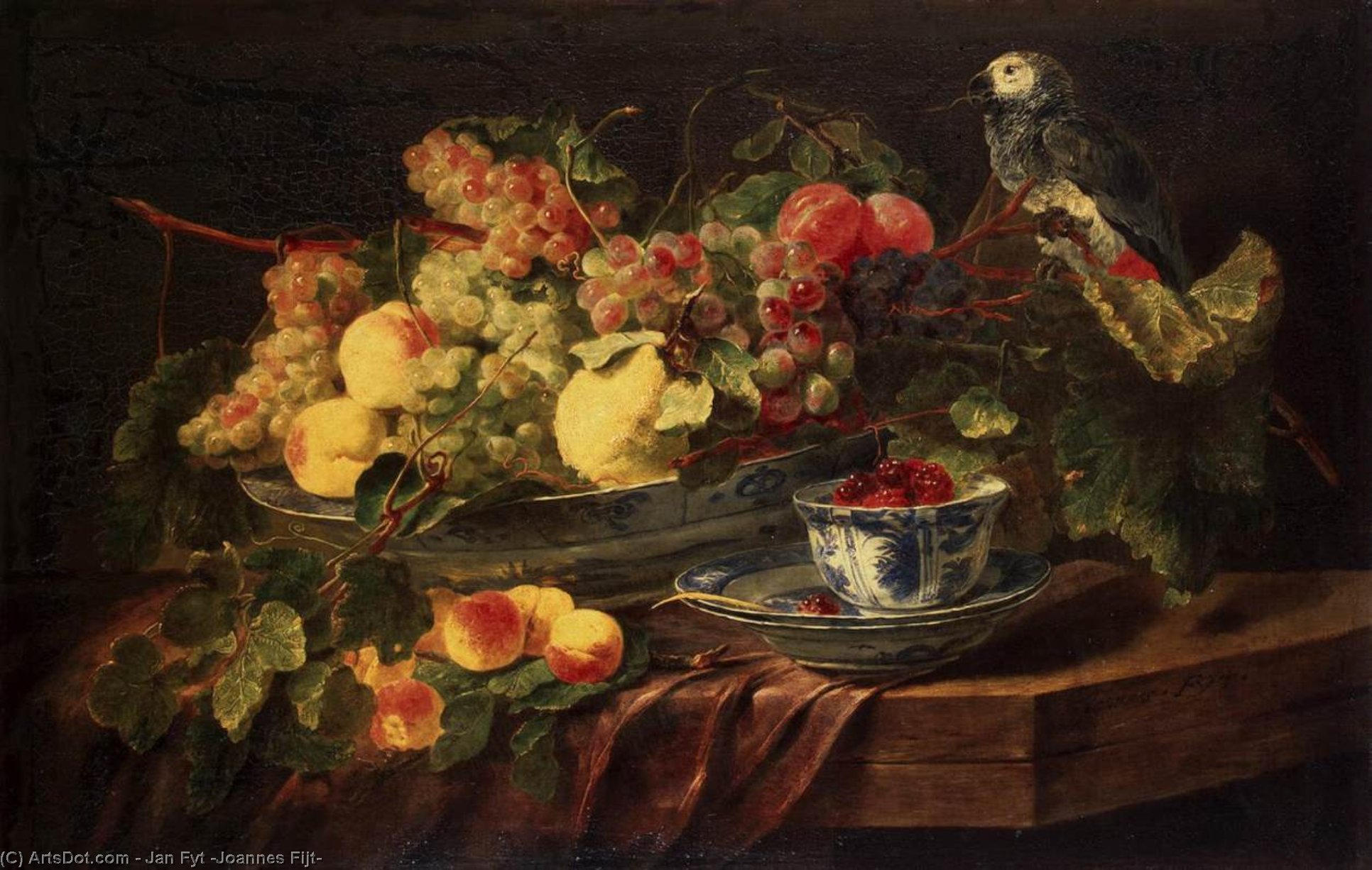 Still-life With Fruits And Parrot — Jan Fyt (joannes Fijt)