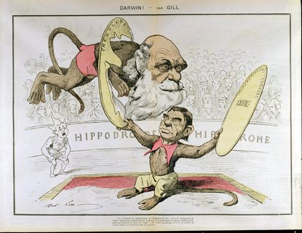 Caricature Of Charles Darwin And Emile Littre — André Gill