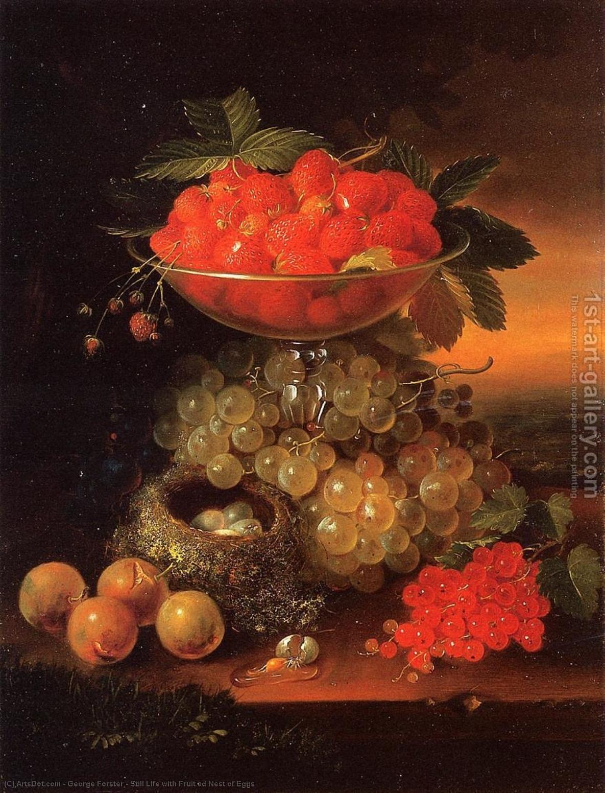 Still Life With Fruit Ad Nest Of Eggs — George Forster