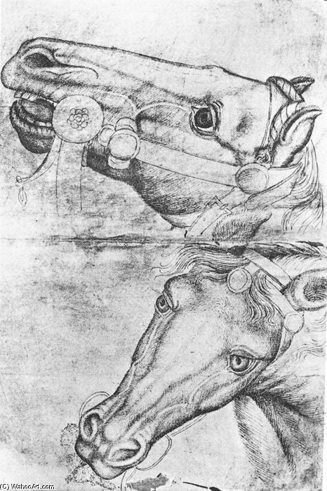 Study Of Horse Heads. Pen On Paper. 29 X 19 Cm. Louvre Museum, Paris — Pisanello