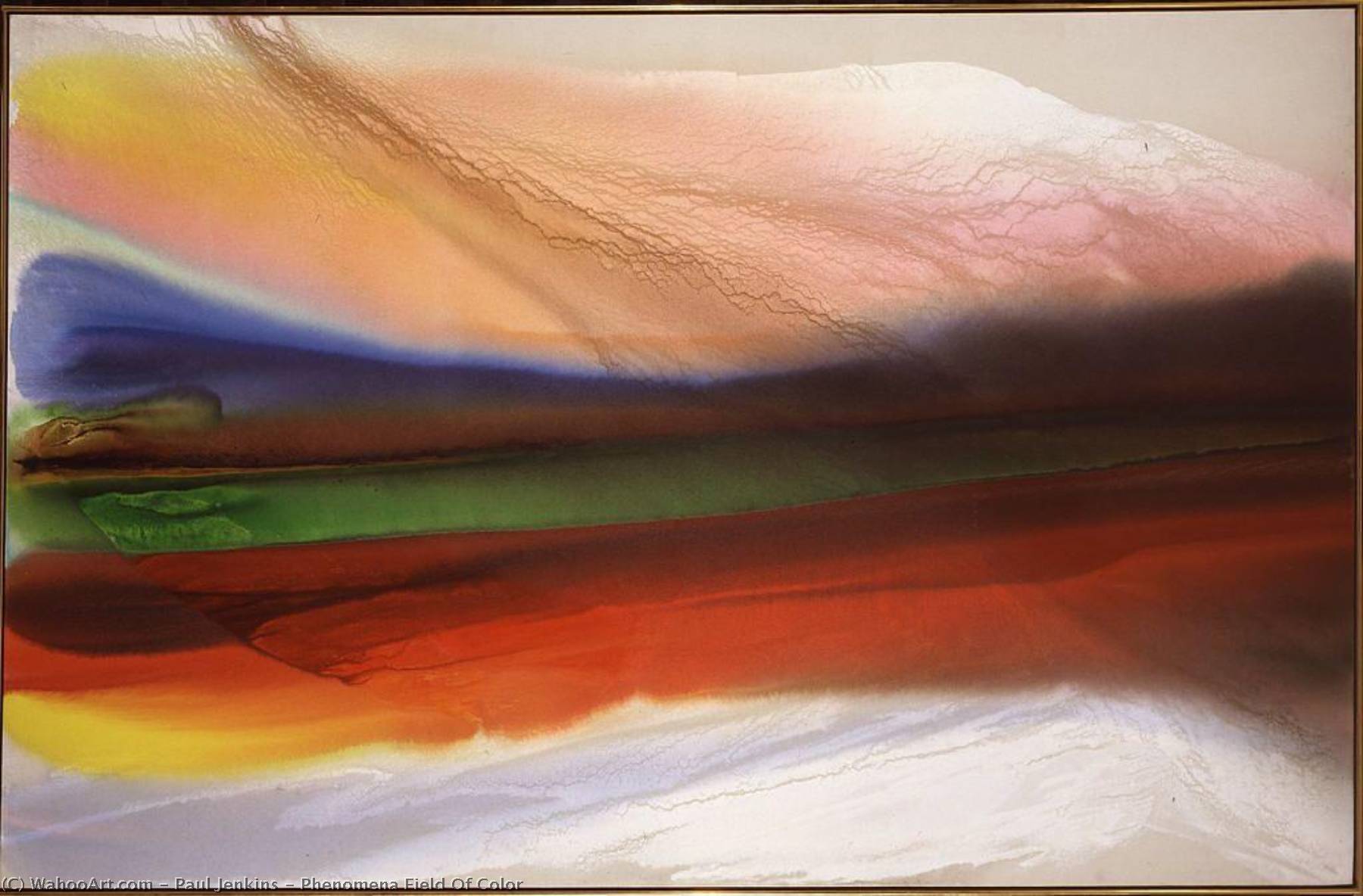 Phenomena Field Of Color — Paul Jenkins