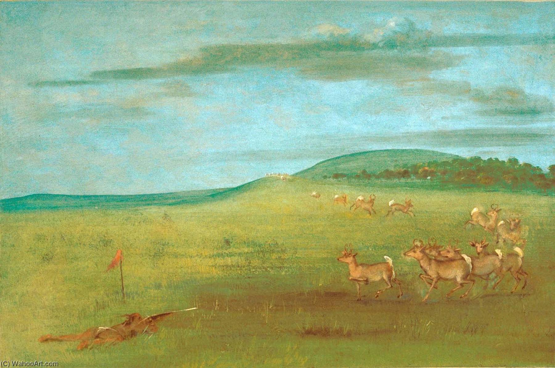 Antelope Shooting, Decoyed Up — Džordž Katlin