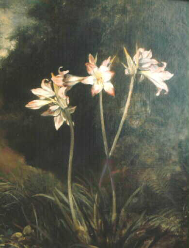 Liliums Sur Fond De Fôret — Léon Riesener