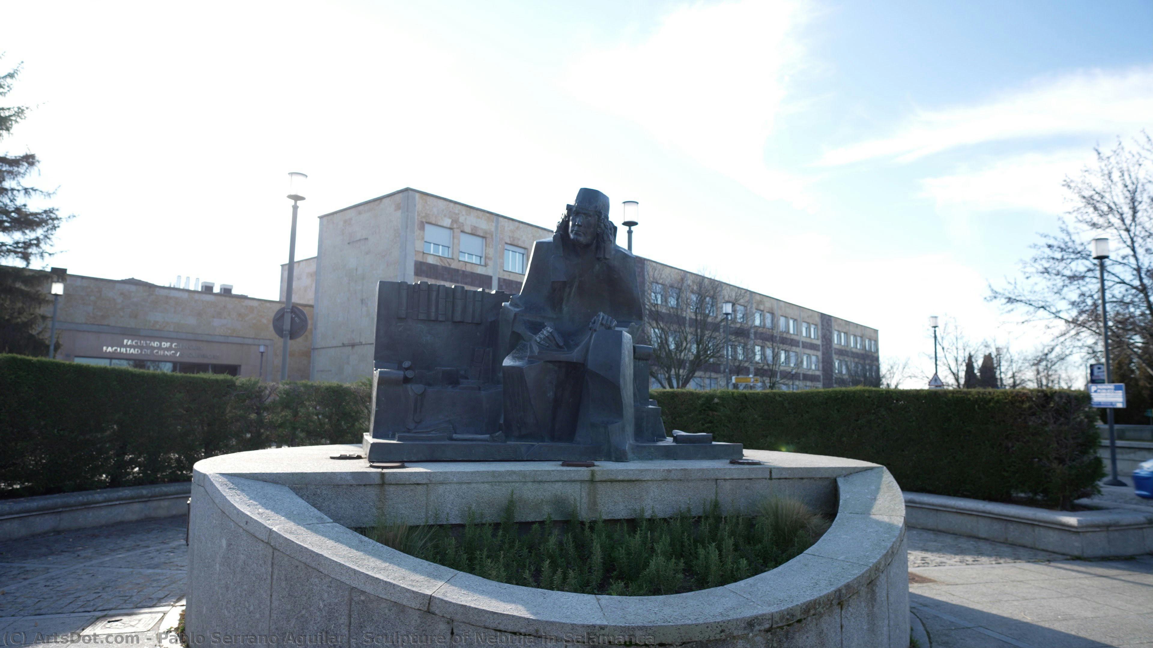 Sculpture Of Nebrija In Salamanca — Pablo Serrano Aguilar
