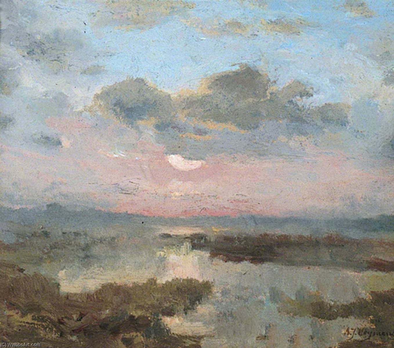 Soleil Couchant Dans Les Marécages — Adriaan Josef Heymans