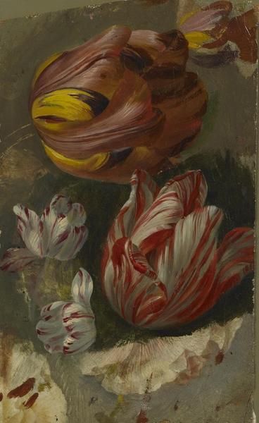 Etude De Tulipes — Moïse Jacobber